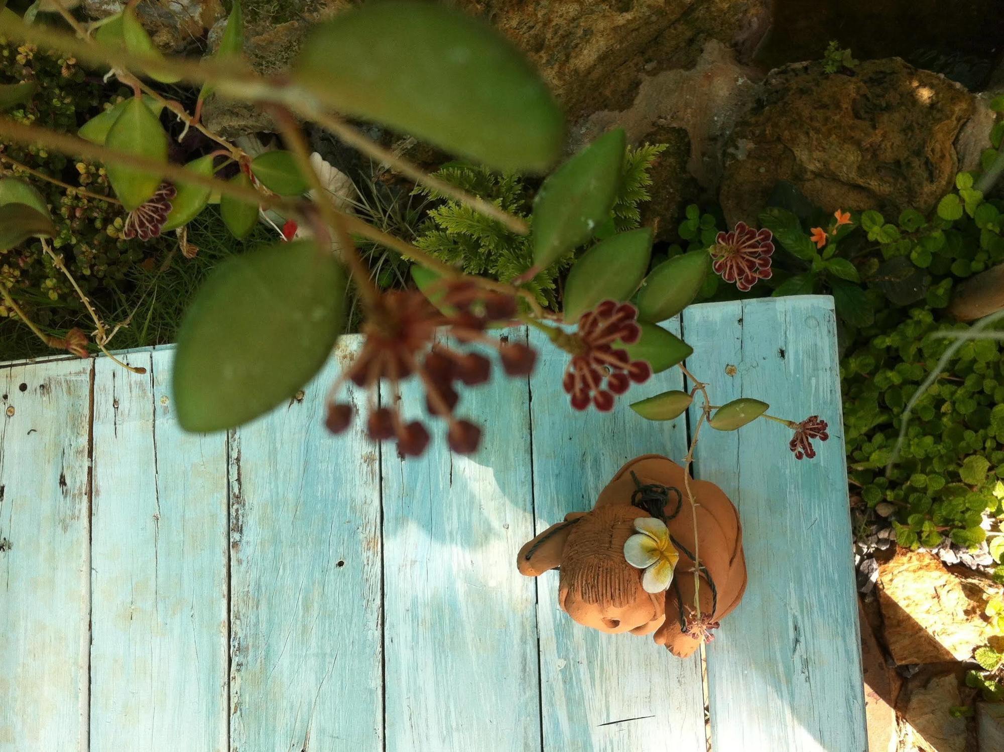 Khao Yai Cottage Muszi Kültér fotó