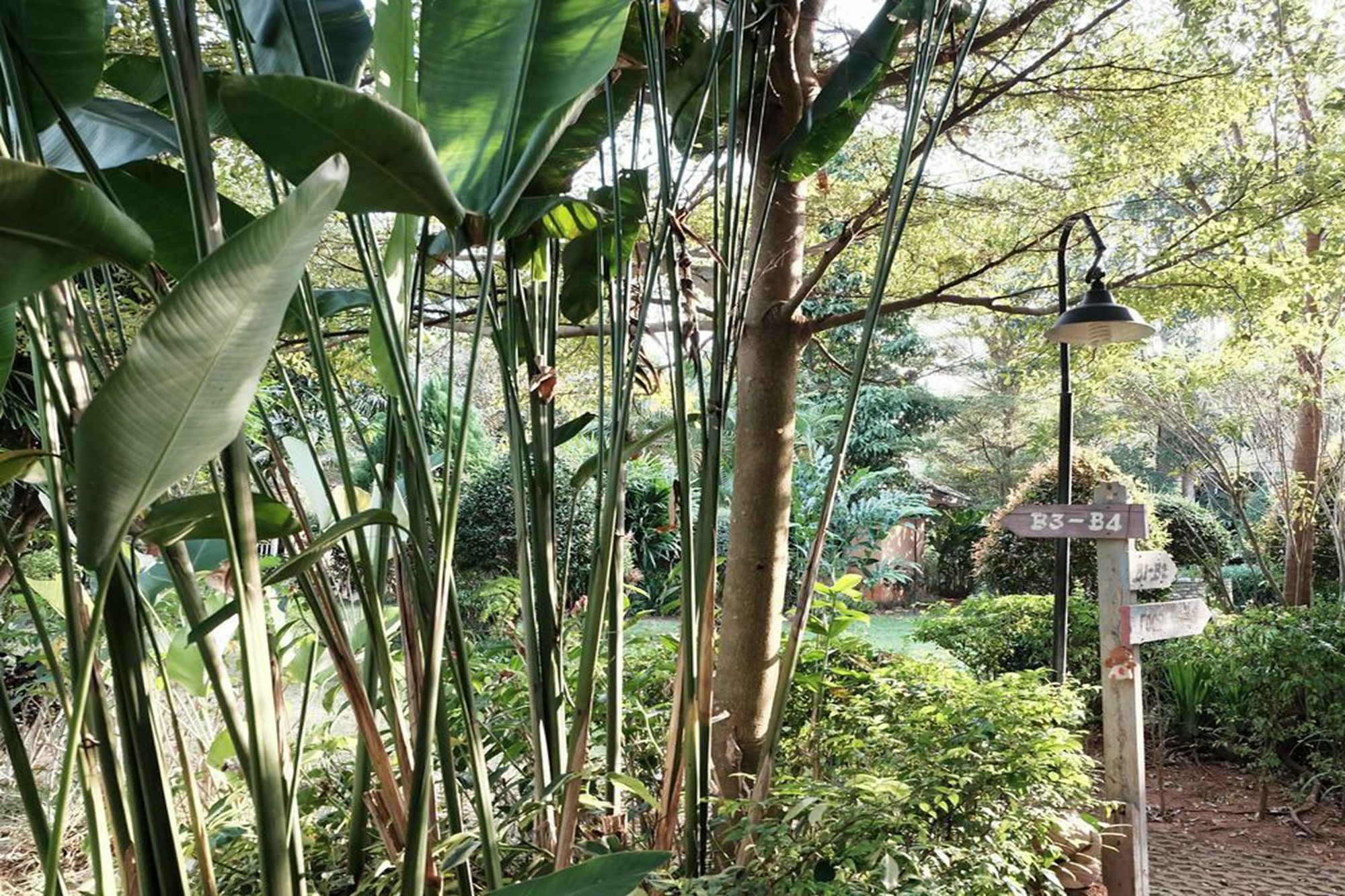 Khao Yai Cottage Muszi Kültér fotó