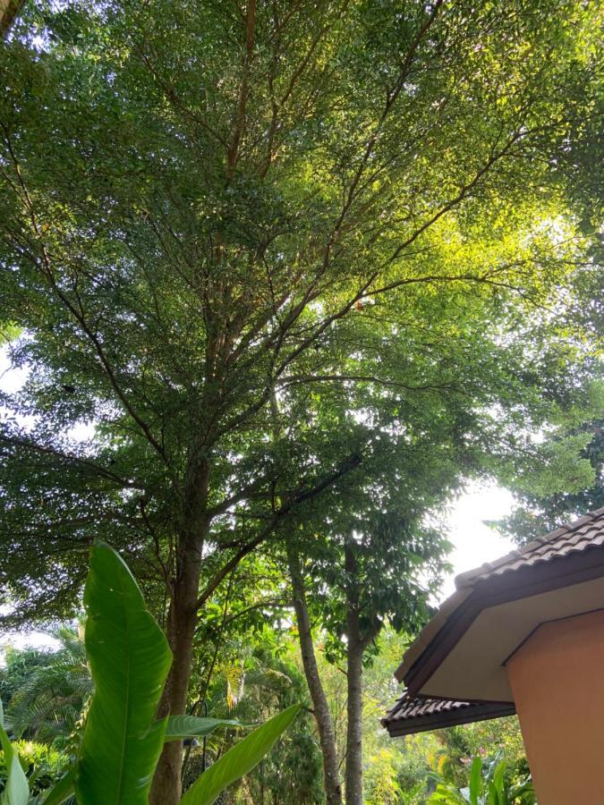 Khao Yai Cottage Muszi Kültér fotó